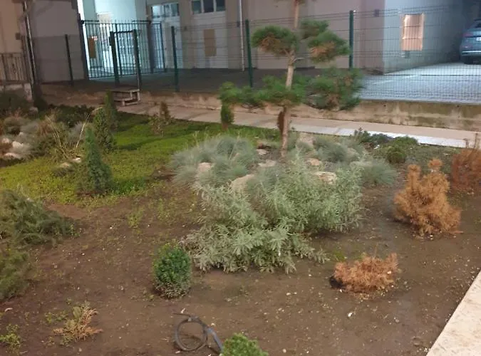 Garsonjera - Maria * Újvidék